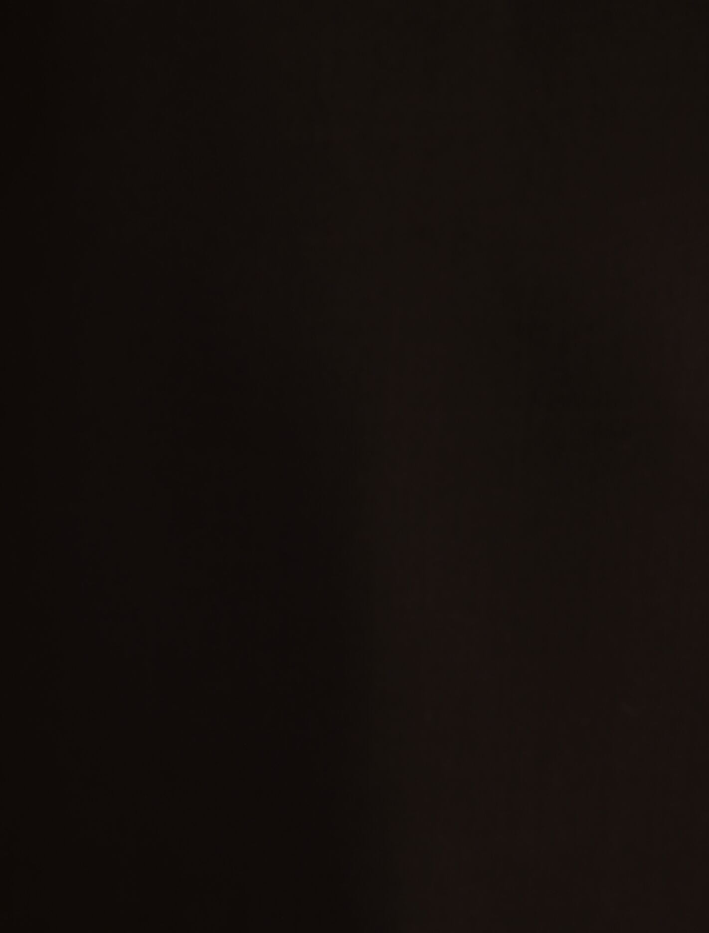 Lottie Sheer Long Sleeve Top Forever New