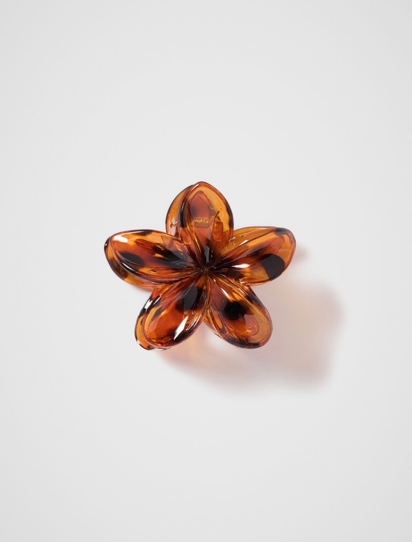 Fifi Flower Claw Clip 0 Brown Forever New