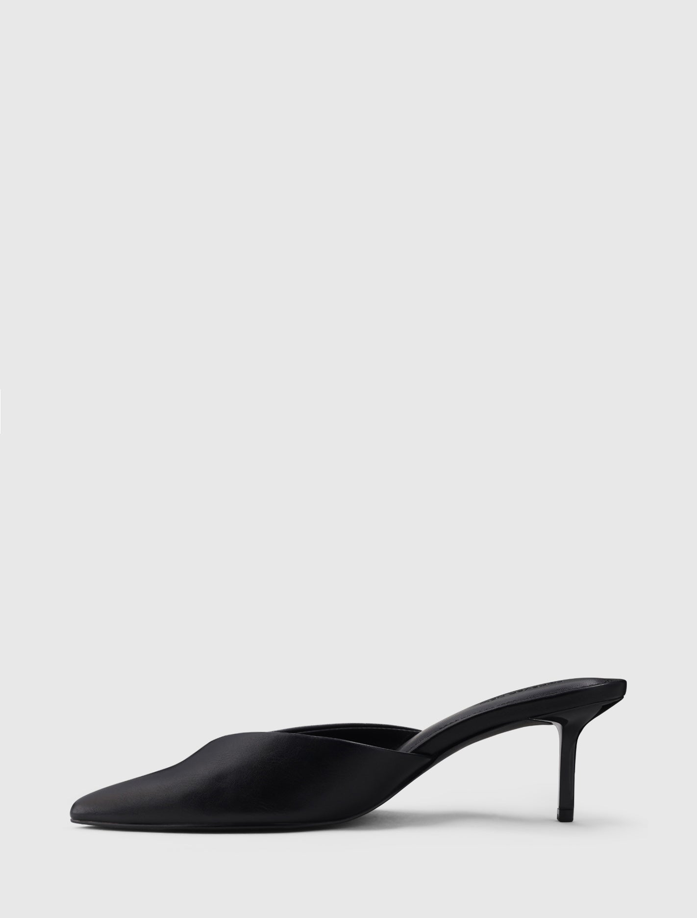 Pamela Pointed Toe Mule Heel