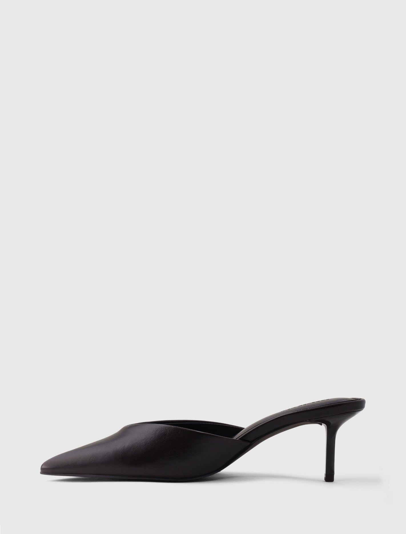 Pamela Pointed Toe Mule Heel