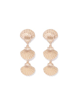 Signature Marcella Shell Earrings Forever New